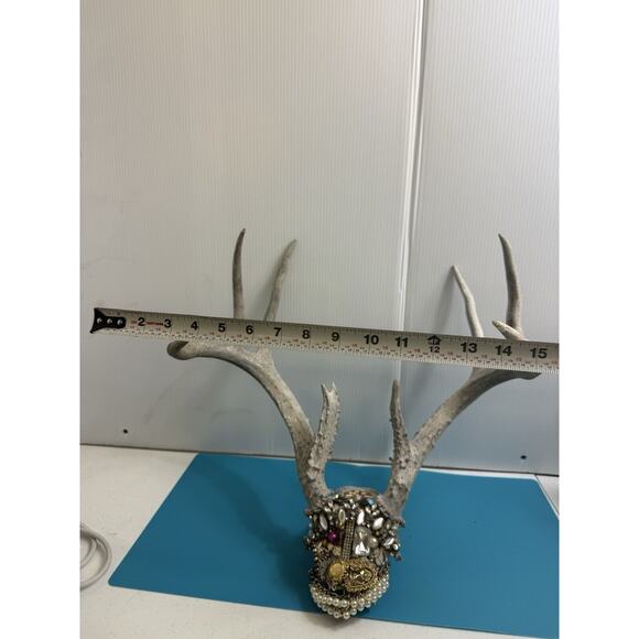 Rhinestone Deer Skull With Antlers, Hand Set With Crystals  whitetail deer antlers 8 point buck! skull decor taxidermy - Jewled - See pics